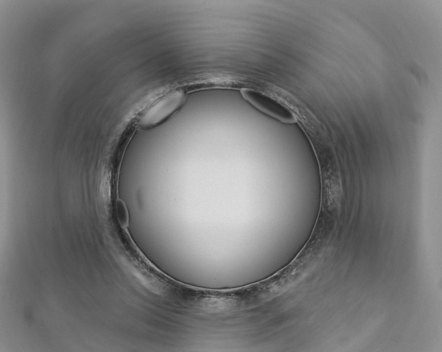 X0000112740350200908201040