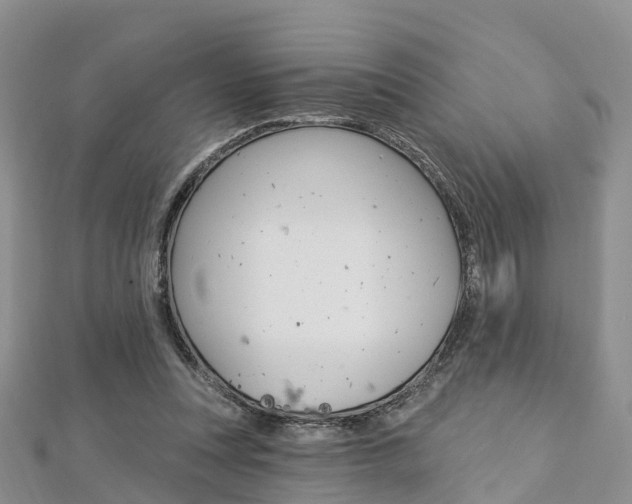 X0000112740351200908201040