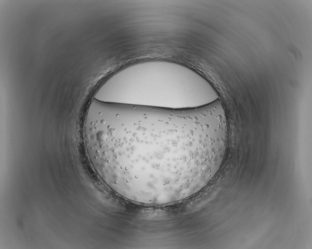 X0000112740354200908201040