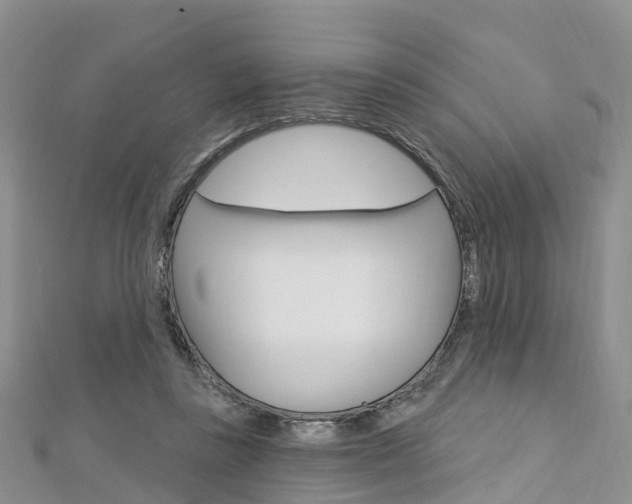X0000112740355200908201040