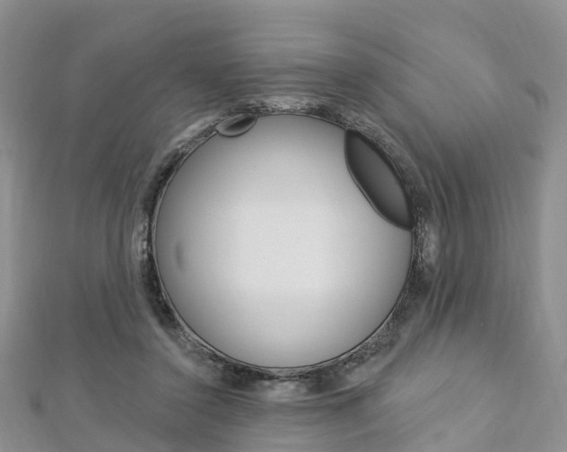 X0000112740356200908201040
