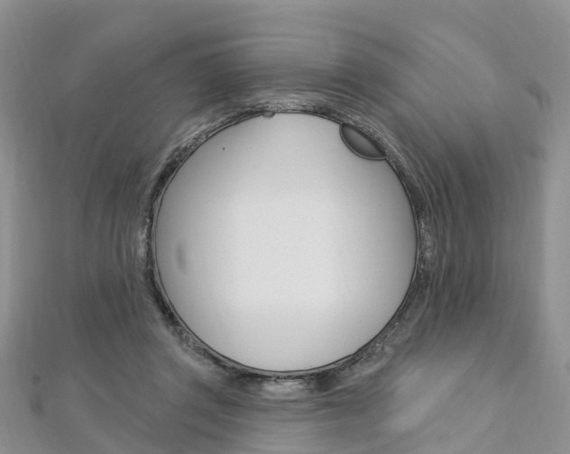 X0000112740357200908201040