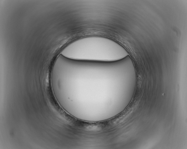 X0000112740358200908201040