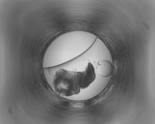 X0000112740359200908201040