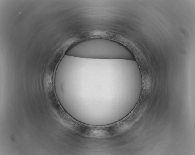 X0000112740360200908201040