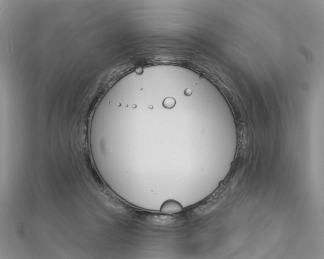 X0000112740361200908201040