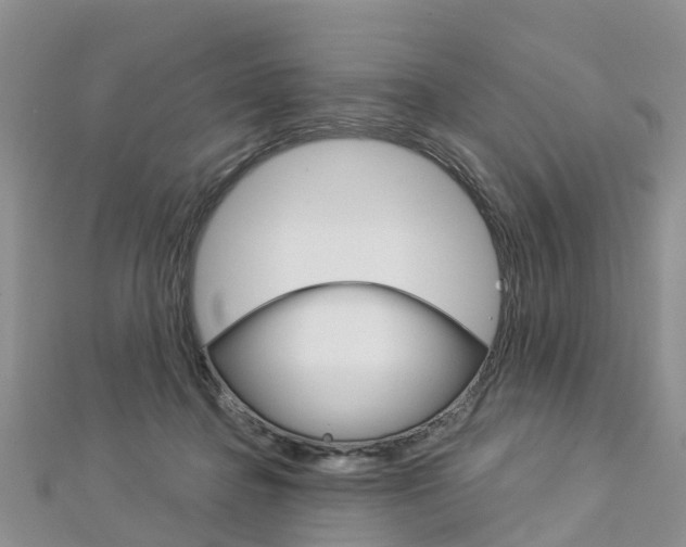 X0000112740364200908201040