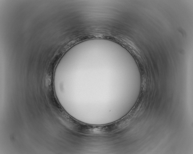 X0000112740365200908201040