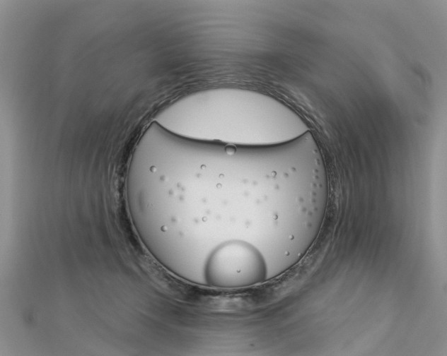 X0000112740366200908201040