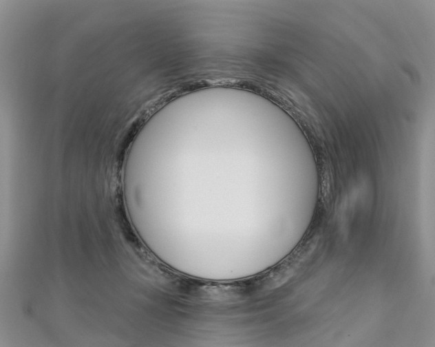 X0000112740367200908201040