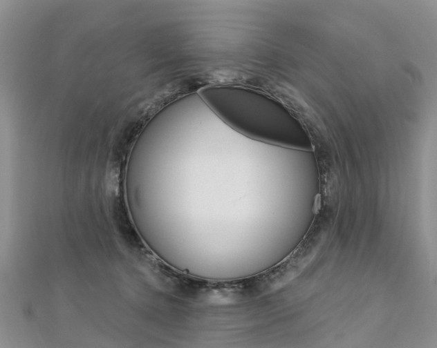 X0000112740368200908201040