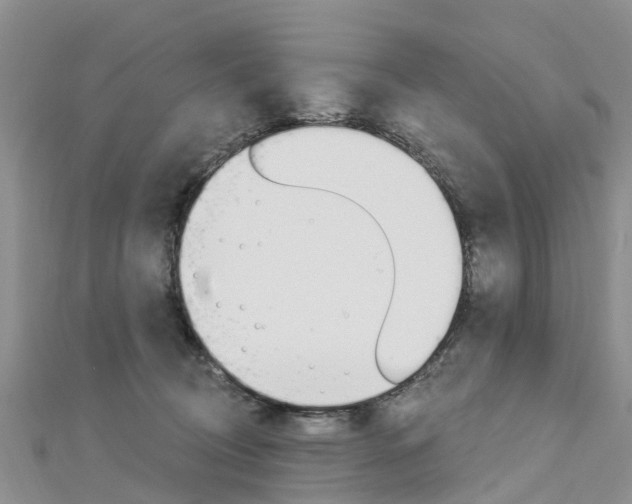 X0000112740370200908201040