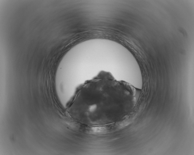 X0000112740371200908201040