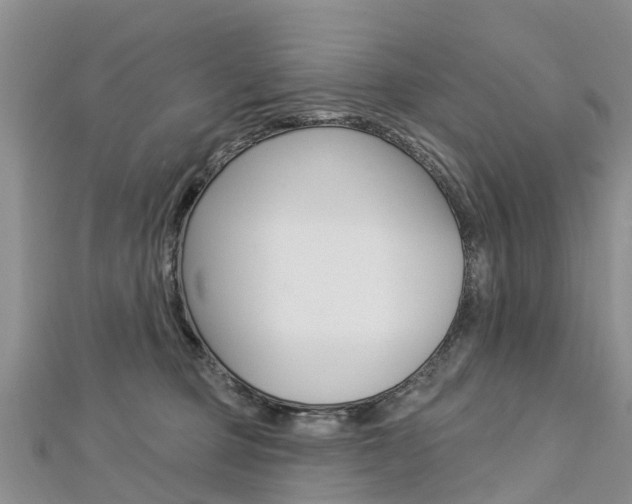 X0000112740373200908201040