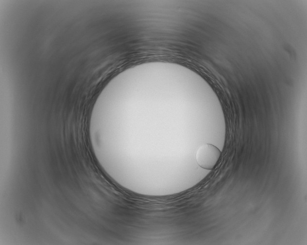 X0000112740376200908201040