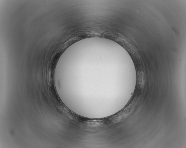 X0000112740378200908201040