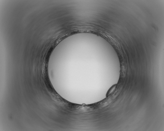 X0000112740379200908201040