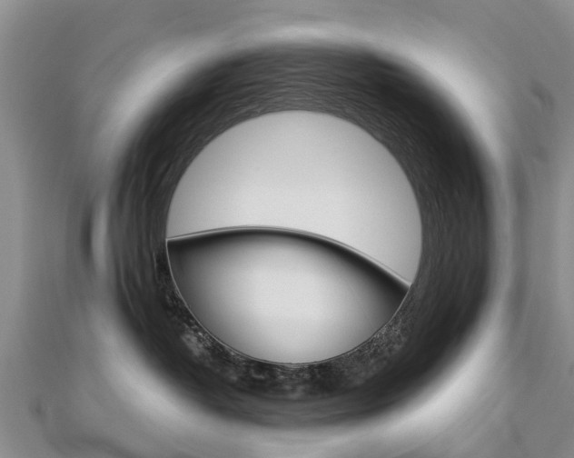 X0000112740382200908201040