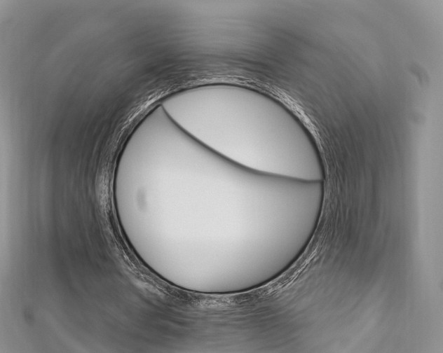 X0000112740386200908201039