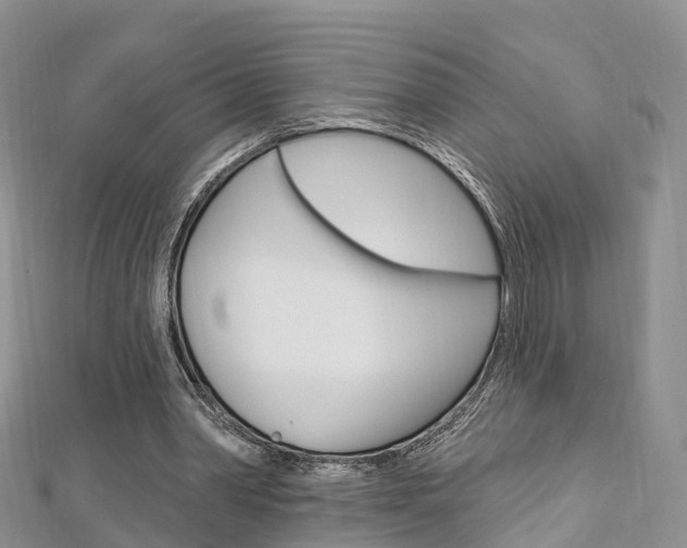 X0000112740390200908201039