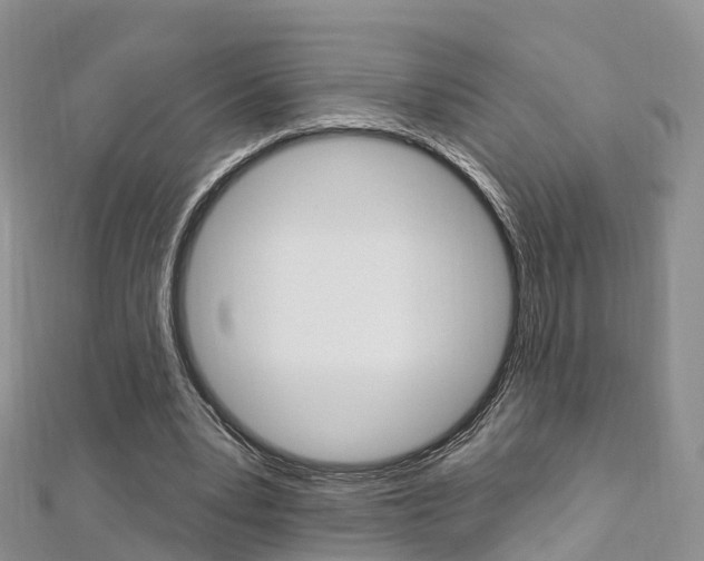 X0000112740391200908201039