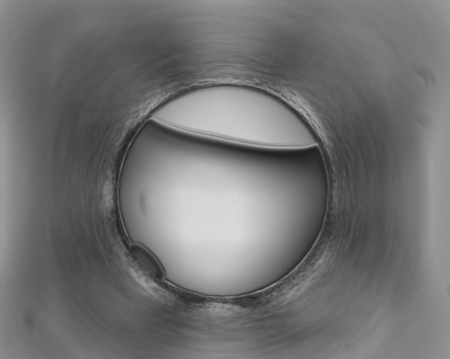 X0000112740393200908201039
