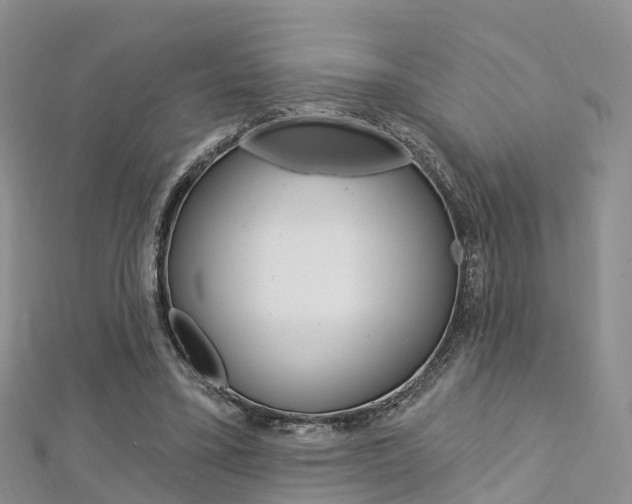 X0000112740395200908201039