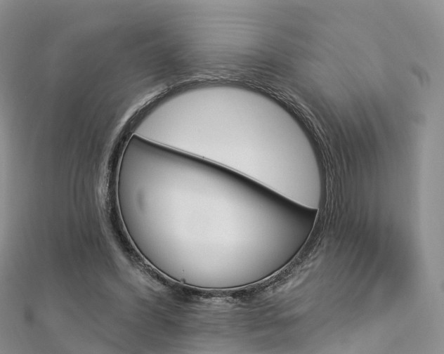 X0000112740396200908201039