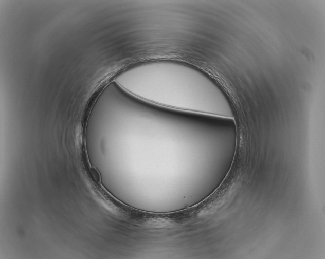 X0000112740397200908201039