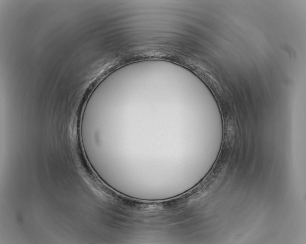 X0000112740398200908201039