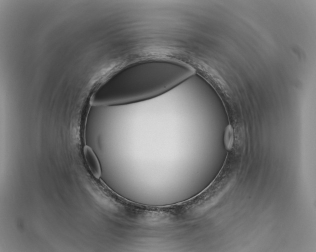 X0000112740399200908201039