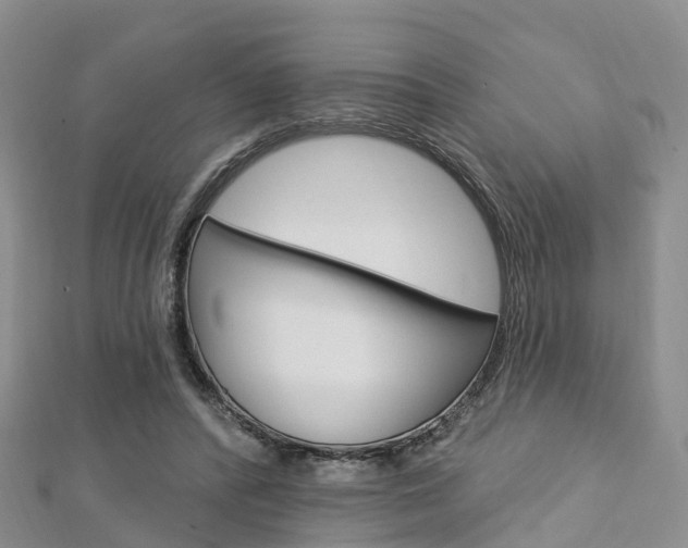 X0000112740400200908201039