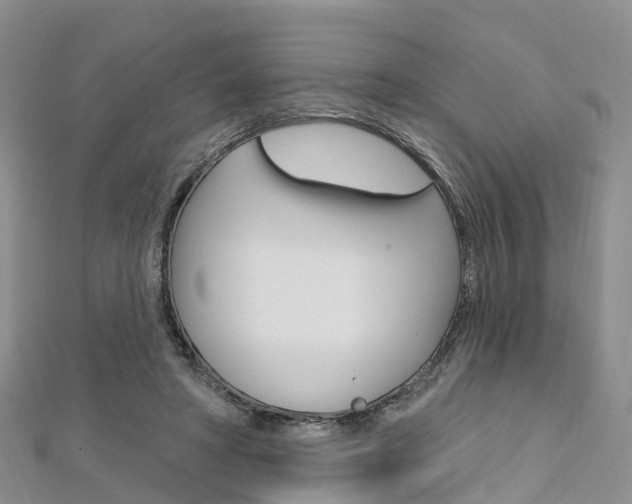 X0000112740402200908201039
