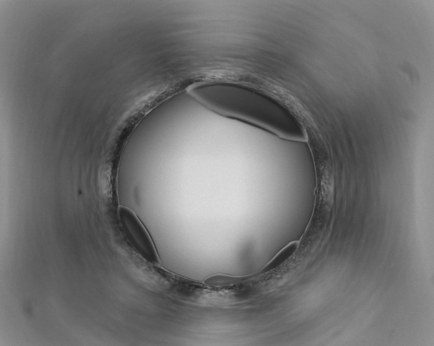 X0000112740403200908201039