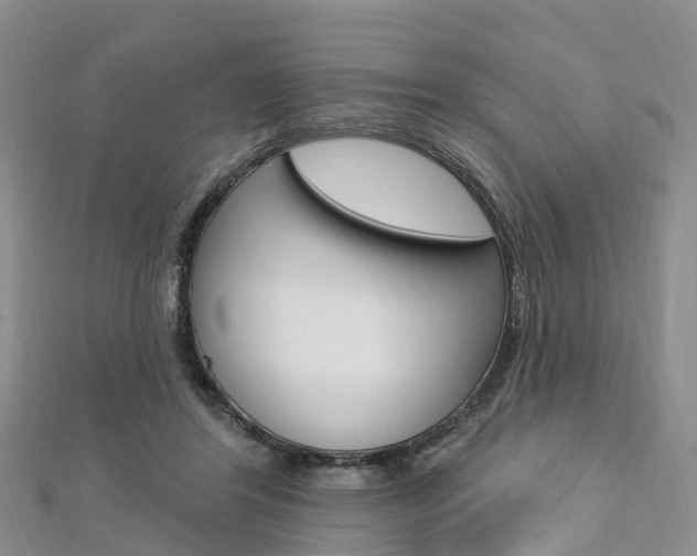 X0000112740404200908201039