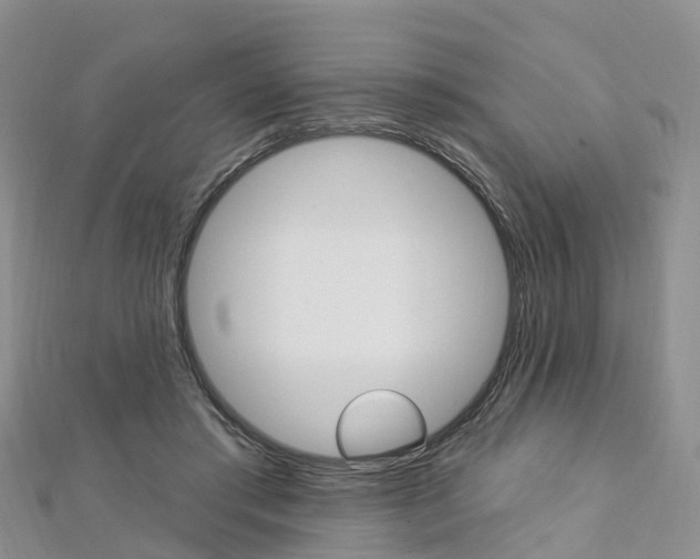 X0000112740405200908201039