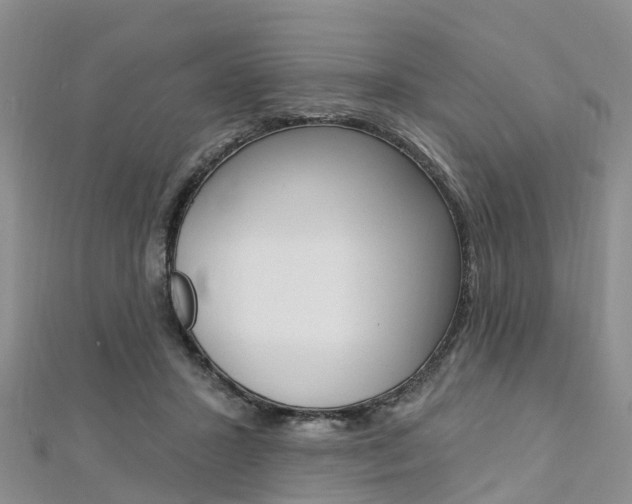 X0000112740407200908201039