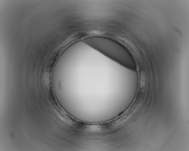 X0000112740409200908201039