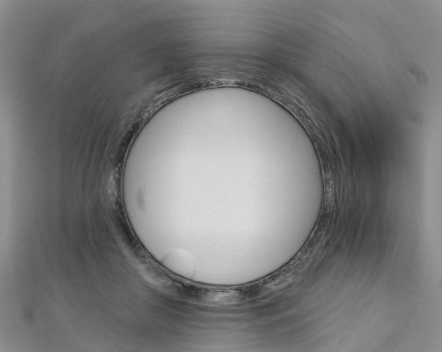 X0000112740410200908201039