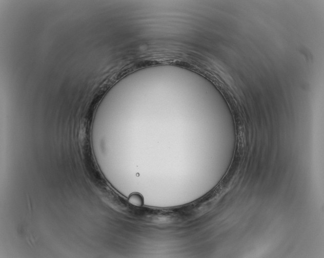 X0000112740412200908201039