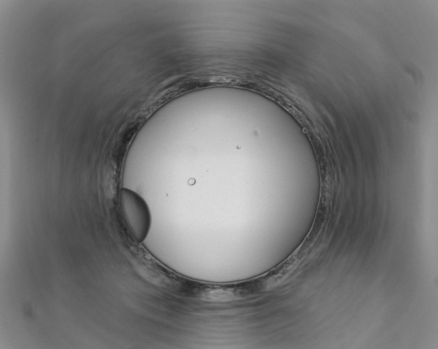 X0000112740413200908201039