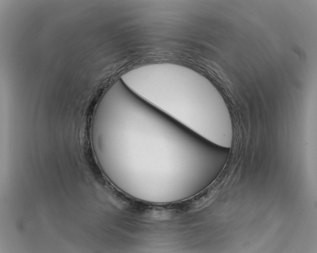 X0000112740416200908201039