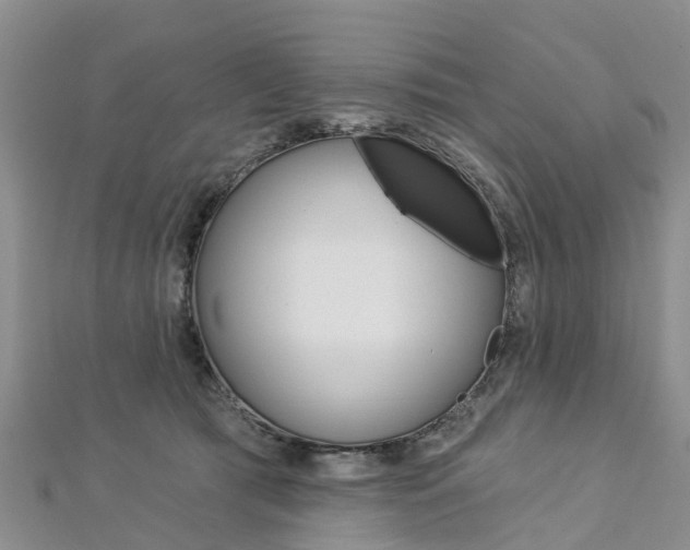 X0000112740417200908201039