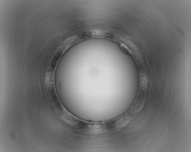 X0000112740419200908201039
