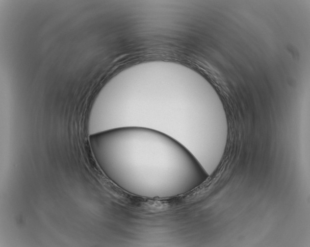 X0000112740421200908201039