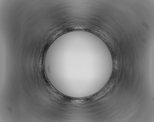 X0000112740422200908201039