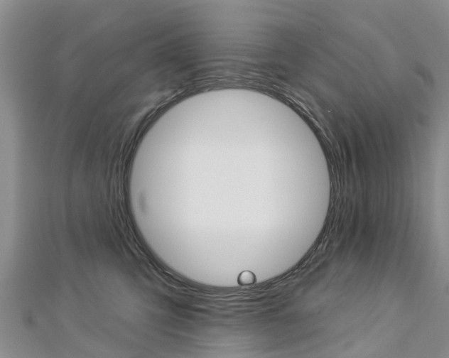 X0000112740423200908201039