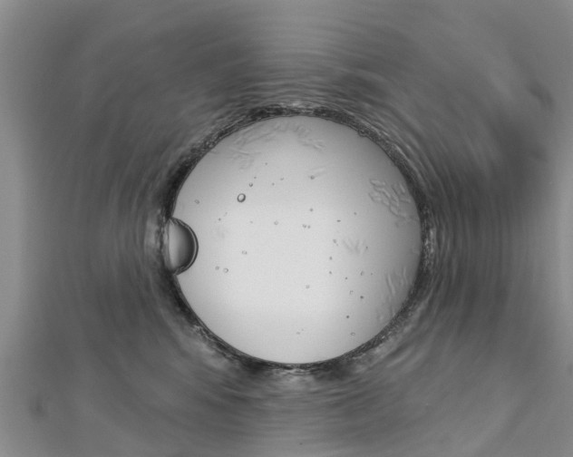 X0000112740424200908201039