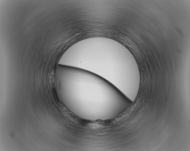 X0000112740425200908201039