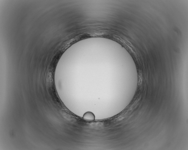 X0000112740426200908201039